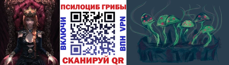где продают   Лебедянь  Псилоцибиновые грибы Psilocybe 